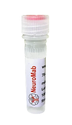 Anti-Cavß3 Calcium Channel Antibody FL650 Conjugate