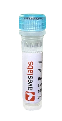 Anti-CSPG4/NG2 Recombinant Chicken Chimeric mAb FL550 Conjugate