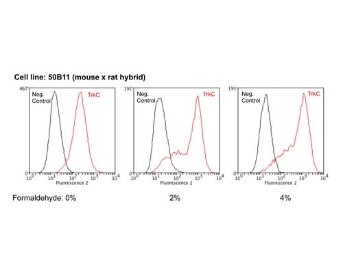 Anti-Tyrosine Kinase Receptor C (TrkC) Antibody - Image 2