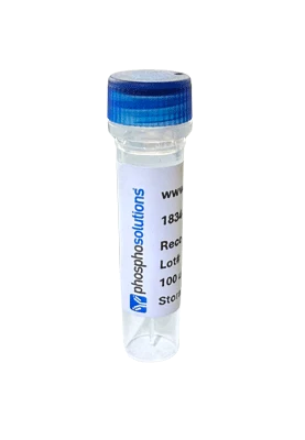 ChAT, Purified Rat Recombinant Protein