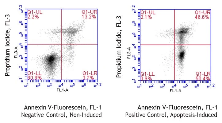 Chicken Annexin V-Fluorescein Apoptosis Assay Kit