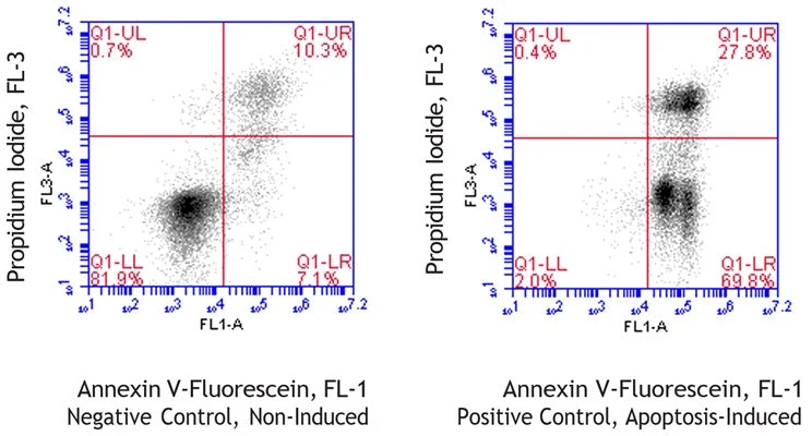 Equine Annexin V-Fluorescein Apoptosis Assay Kit