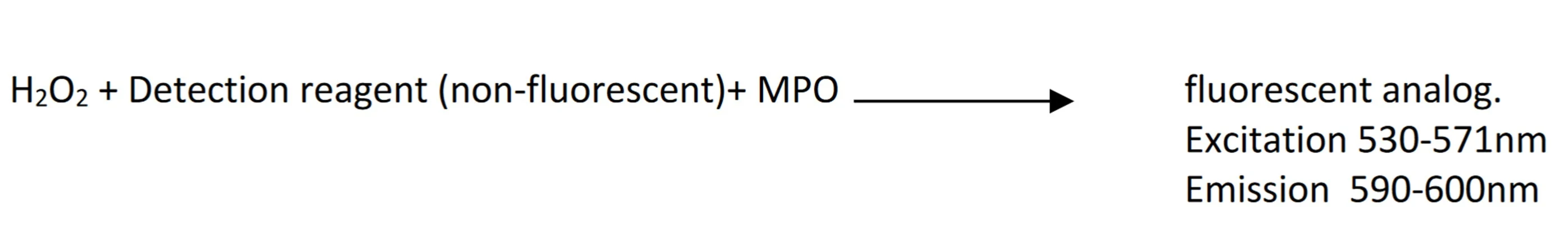 Myeloperoxidase Detection Kit