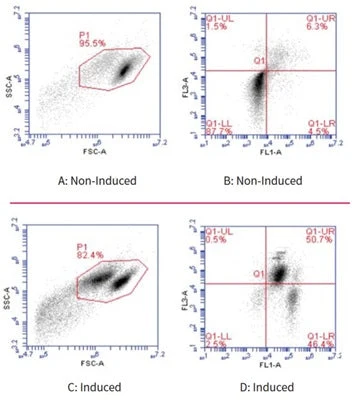 Necrosis vs Apoptosis Assay Kit - Image 5