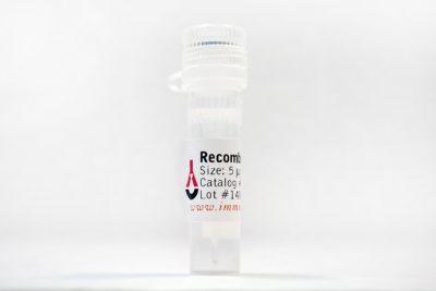 Recombinant Rat APRIL