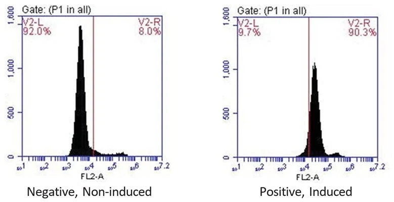 Red Fluorescent SR-VAD-OPH in vitro Poly Caspase Apoptosis Detection Reagent