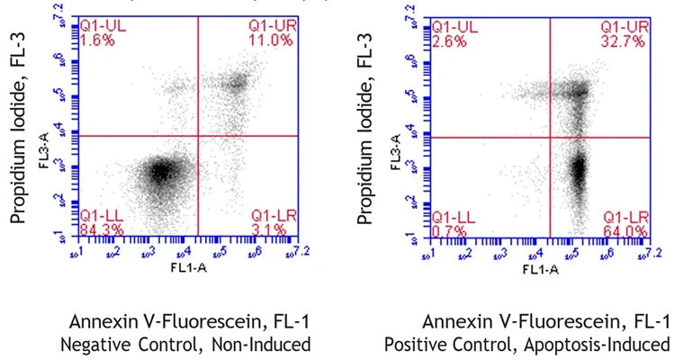 Swine Annexin V-Fluorescein Apoptosis Assay Kit